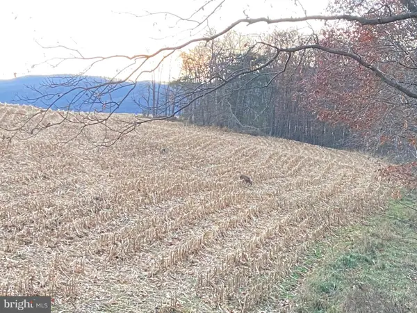 0 Llama Lane, NEEDMORE, PA 17238