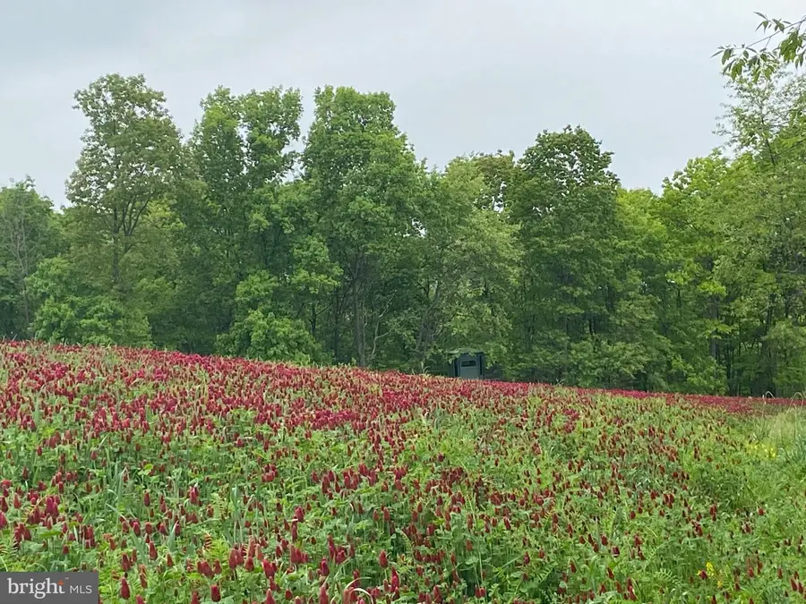 0 Llama Lane, Needmore, PA 17238 - Image #3