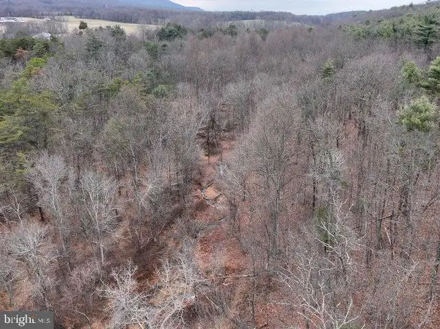 516 Rising T Dr, Needmore, PA 17238 - Image #3