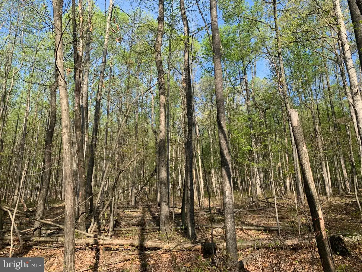 Black Bear Rd, Needmore, PA 17238 - #1