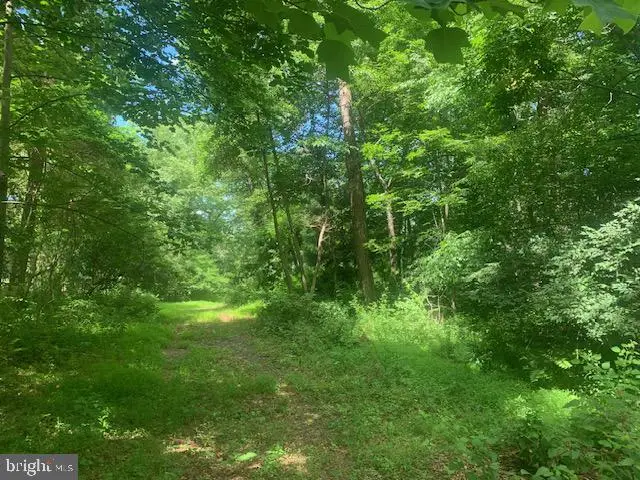 5353 Cito Rd, McConnellsburg, PA 17233 - #1