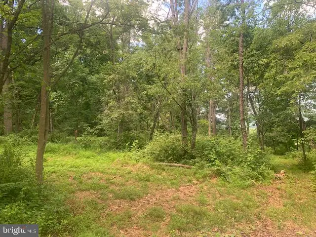 5353 Cito Rd, McConnellsburg, PA 17233 - #3