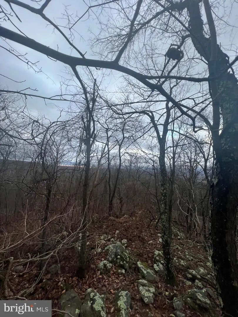 17629 Shirleys Knob Rd, Cassville, PA 16623 - Image #2