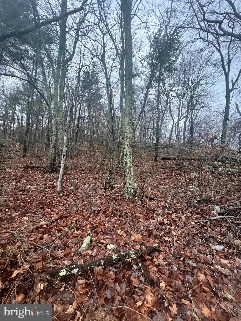 17629 Shirleys Knob Rd, Cassville, PA 16623 - Image #3