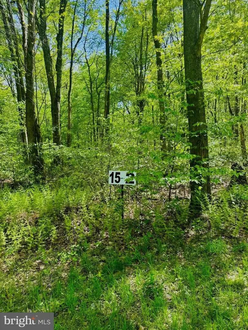 Lot: 15 Paradise Point, James Creek, PA 16657 - Image #2