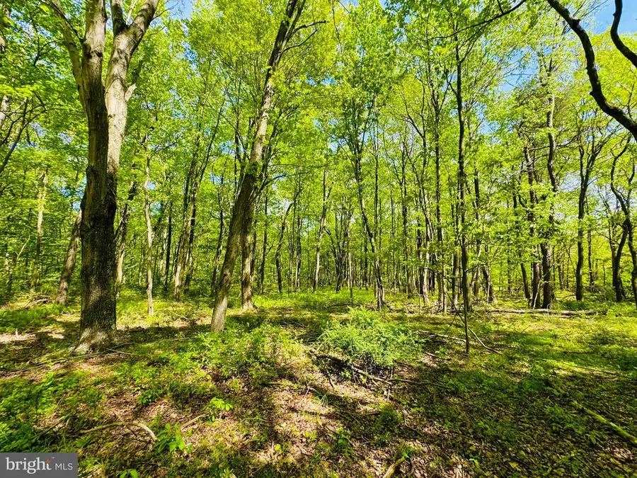 Lot: 36 Paradise Point, James Creek, PA 16657 - Image #3