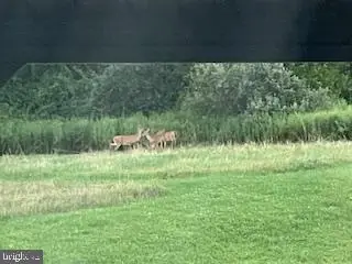 Lot 11 Blue Spruce Off Dry Hollow Road Rd, Warriors Mark, PA 16877 - Image #3