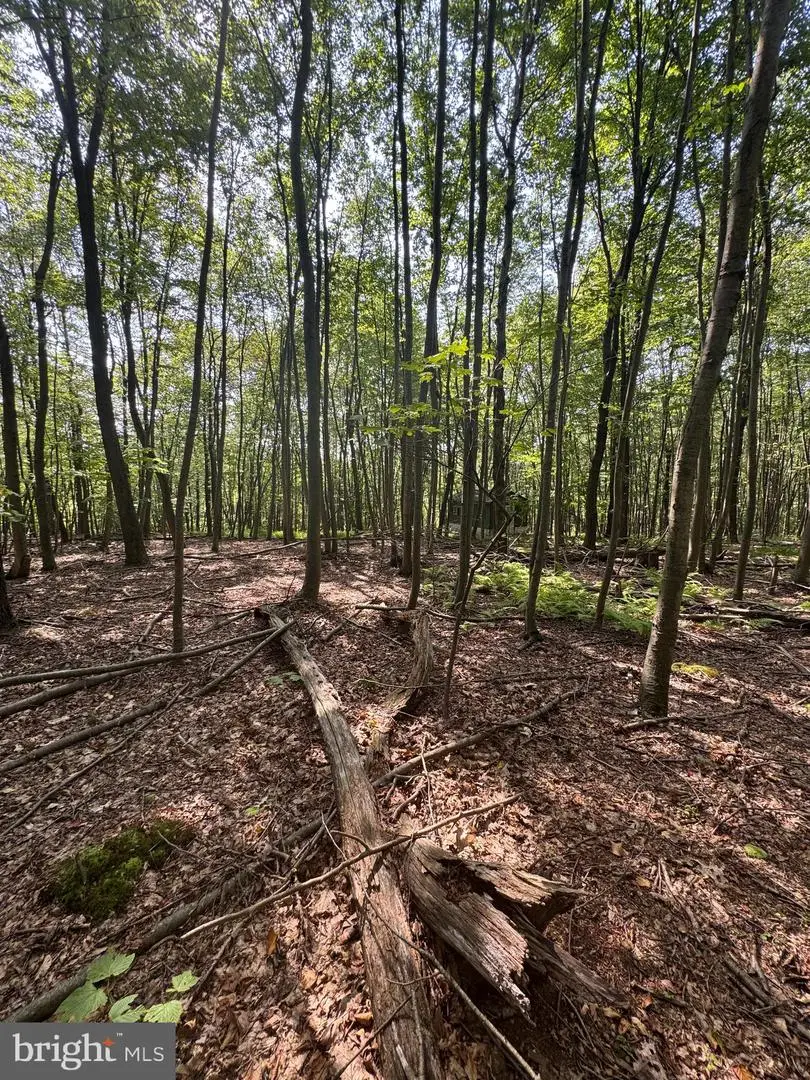 8165 Sand Rock, Huntingdon, PA 16652 - Image #3