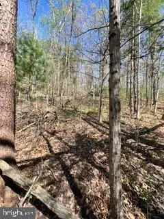 0 Ichabod Ln, Shirleysburg, PA 17260 - #2