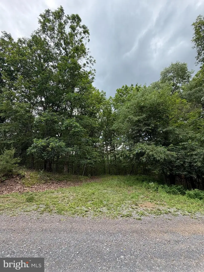 0 Echo Heights Drive, Huntingdon, PA 16652 - #1