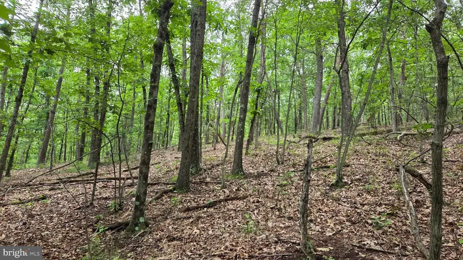 Lot 51 Valley Dr, Hesston, PA 16647 - #2