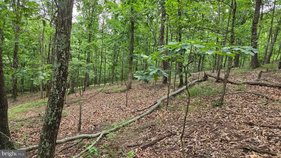 Lot 51 Valley Dr, Hesston, PA 16647 - #3