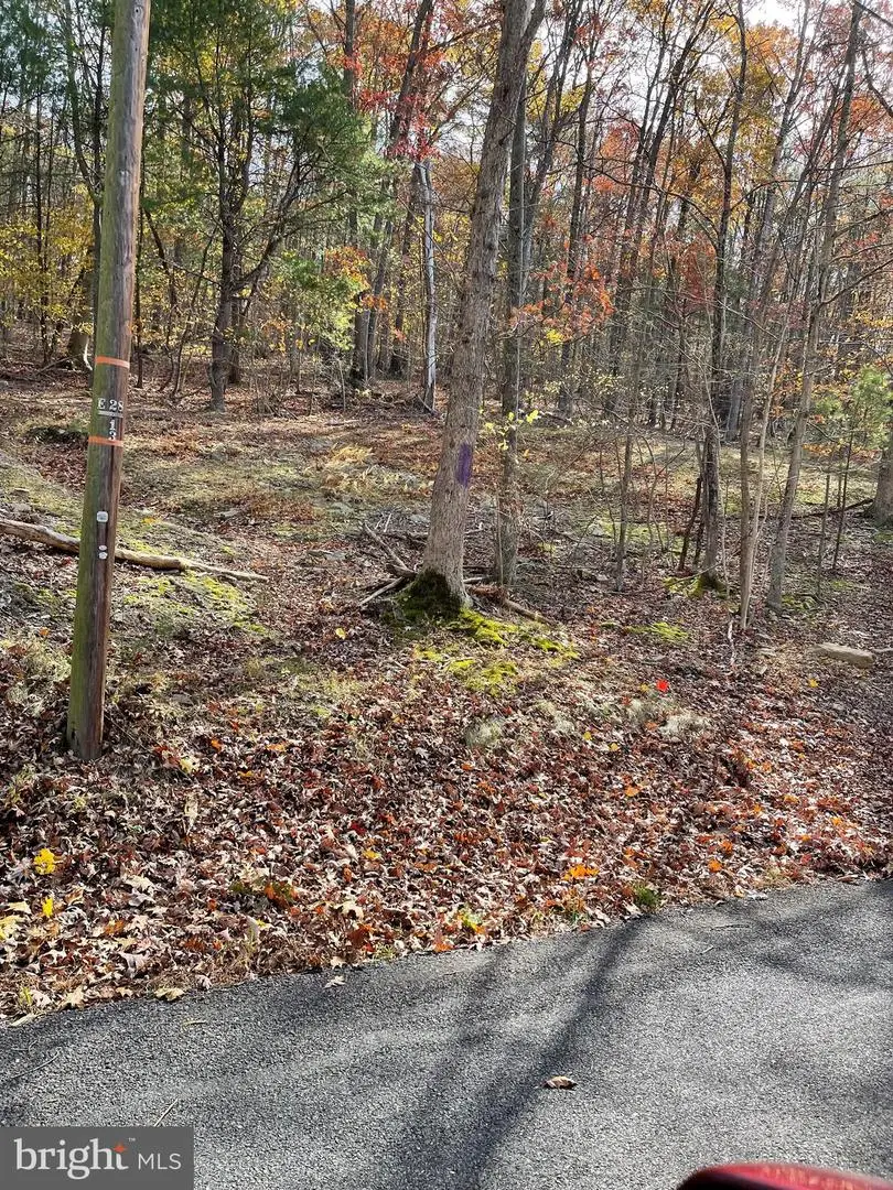 Berry Ridge Road, East Waterford, PA 17021 - Image #2