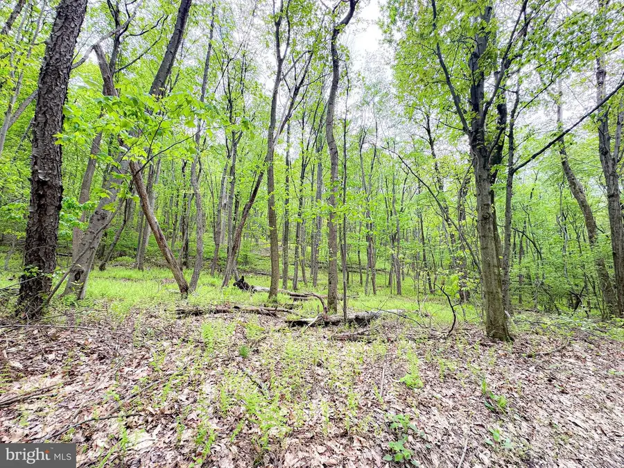 0 Over Hill Rd, Thompsontown, PA 17094 - #3