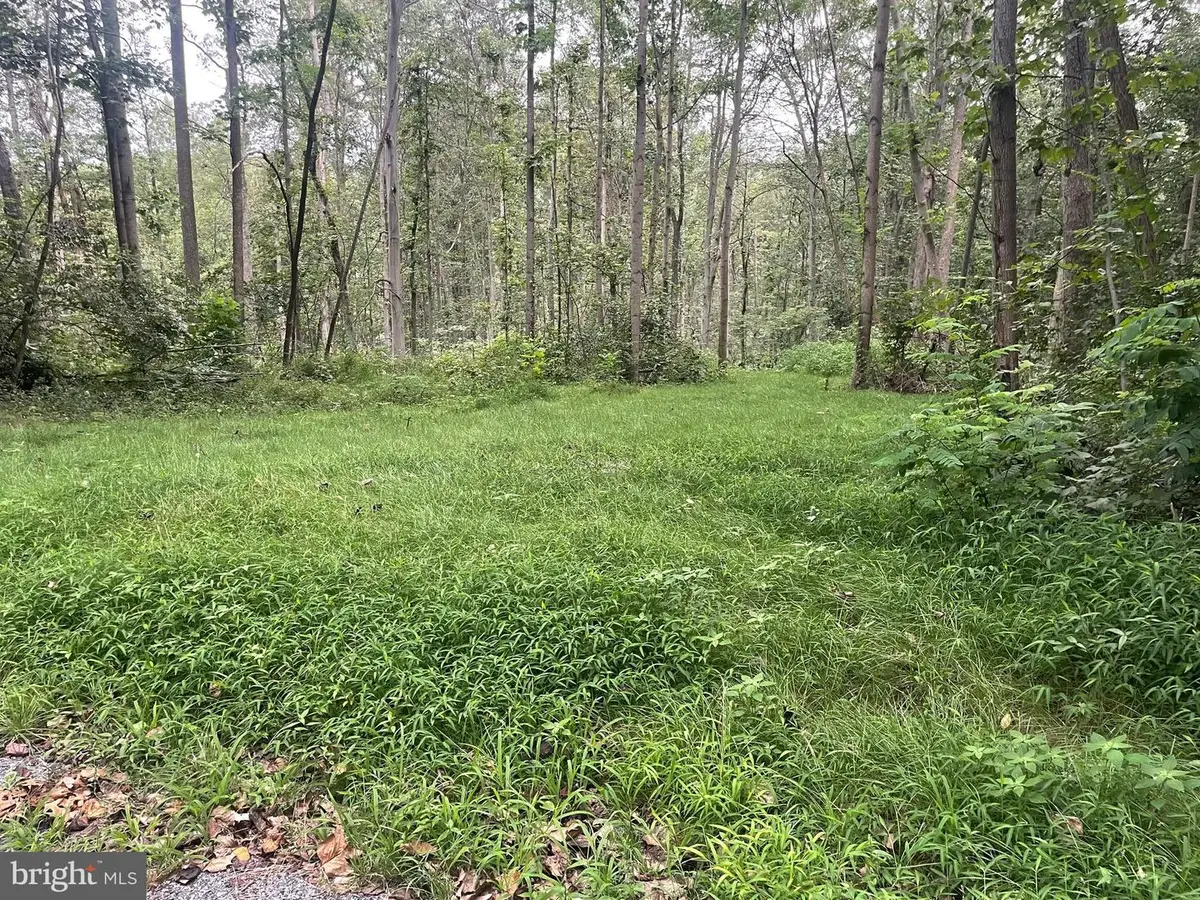 0 Laurel Rd, Narvon, PA 17555 - Image #1