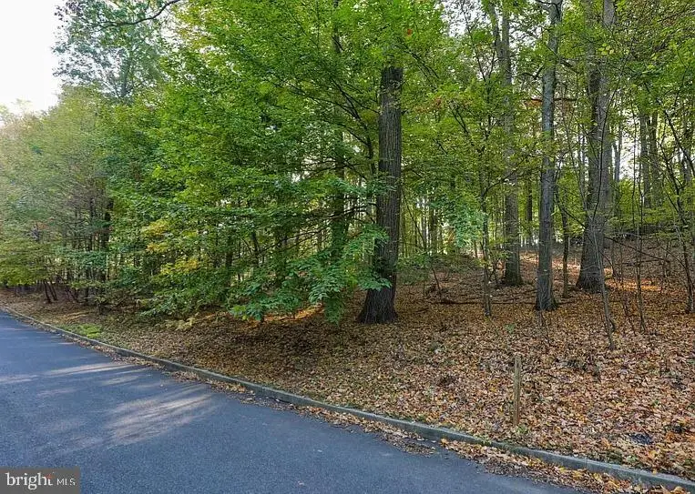 58 Buck Run Rd, Conestoga, PA 17516 - Image #3