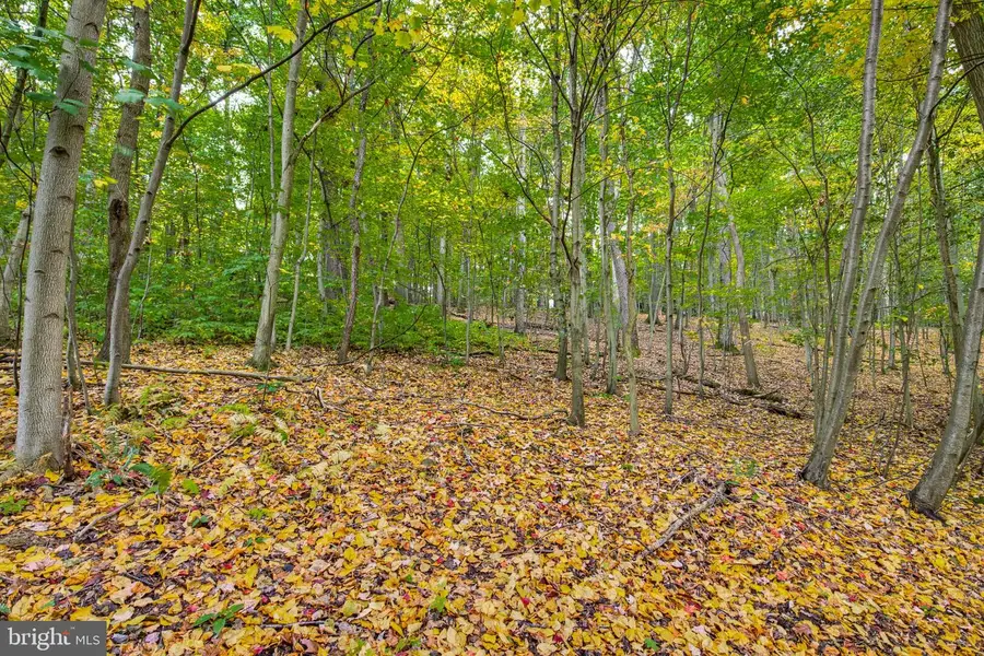 58 Buck Run Rd, Conestoga, PA 17516 - #2