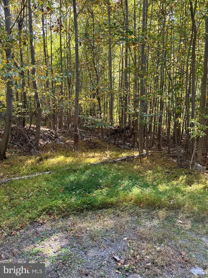 7893 Leaser Rd, Kempton, PA 19529 - Image #2