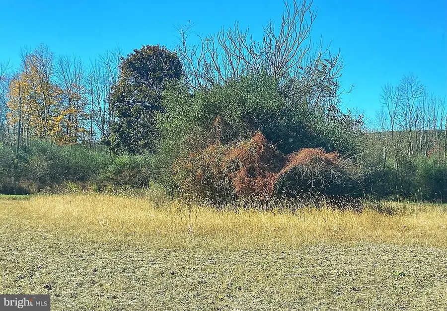 4038 Allemaengel Rd, New Tripoli, PA 18066 - Image #2