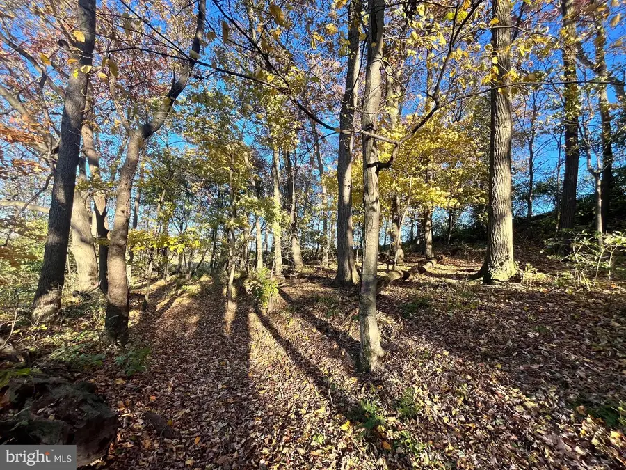 Lot #1 Johns Way Dr, Fredericksburg, PA 17026 - Image #2