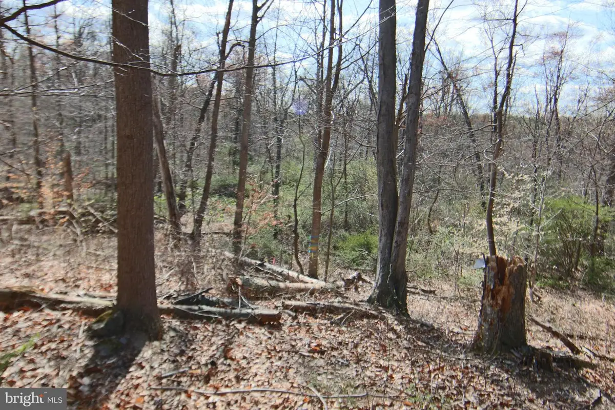 0 S Forge Road, Palmyra, PA 17078 - #1