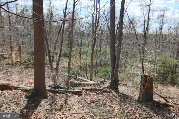 0 S Forge Road, PALMYRA, PA 17078