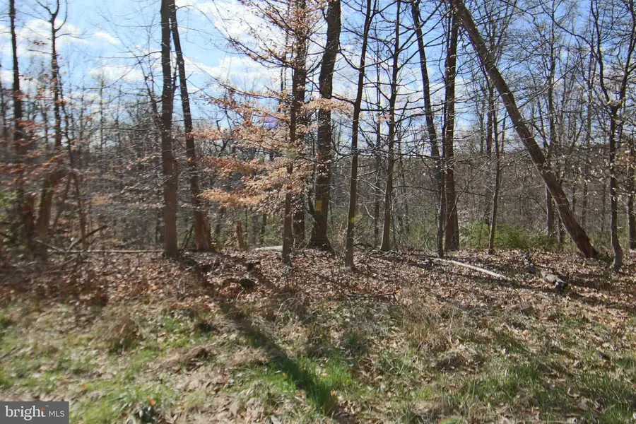 0 S Forge Road, Palmyra, PA 17078 - #3