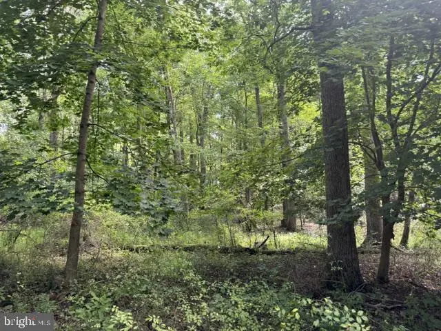 1294 Mount Wilson Rd, Lebanon, PA 17042 - #1