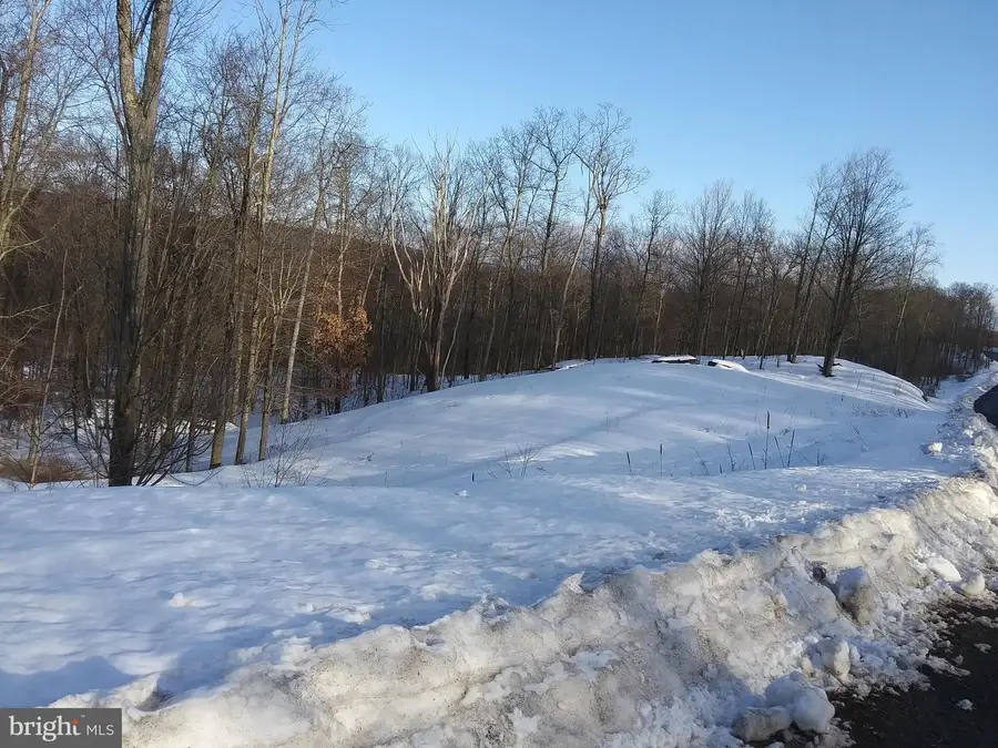 Lot 2 Manorview Dr, Dallas, PA 18612 - Image #2