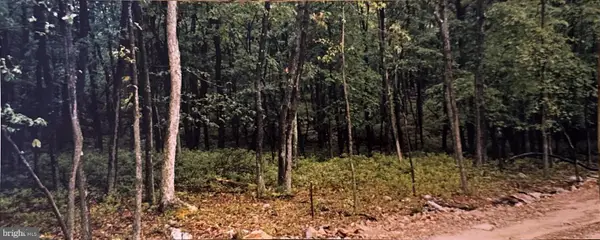 Lot 135 & 136 Corn Silk Ave., HAZLE TOWNSHIP, PA 18201