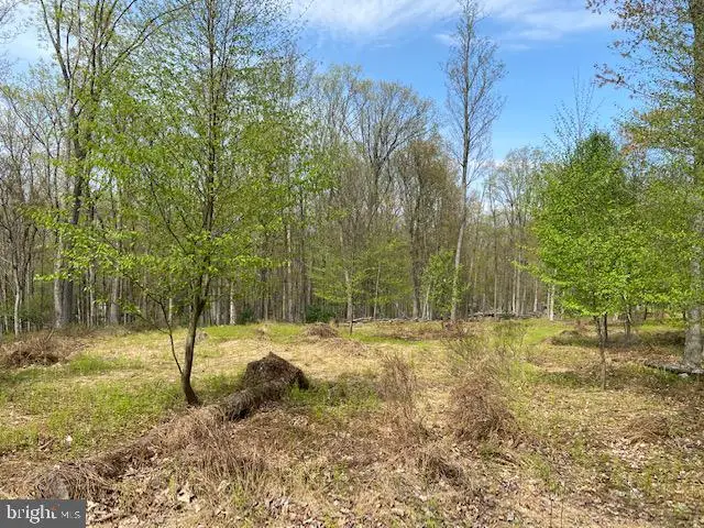 69 Edge Rock Dr, Drums, PA 18222 - #3