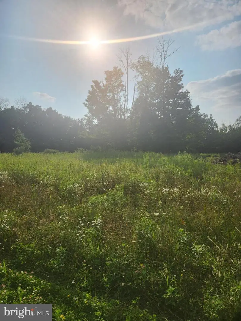 Sr247, Greenfield, PA 18407 - Image #2