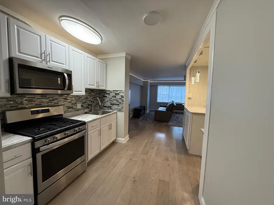 7900 Old York Rd #308-b, Elkins Park, PA 19027 - Image #2