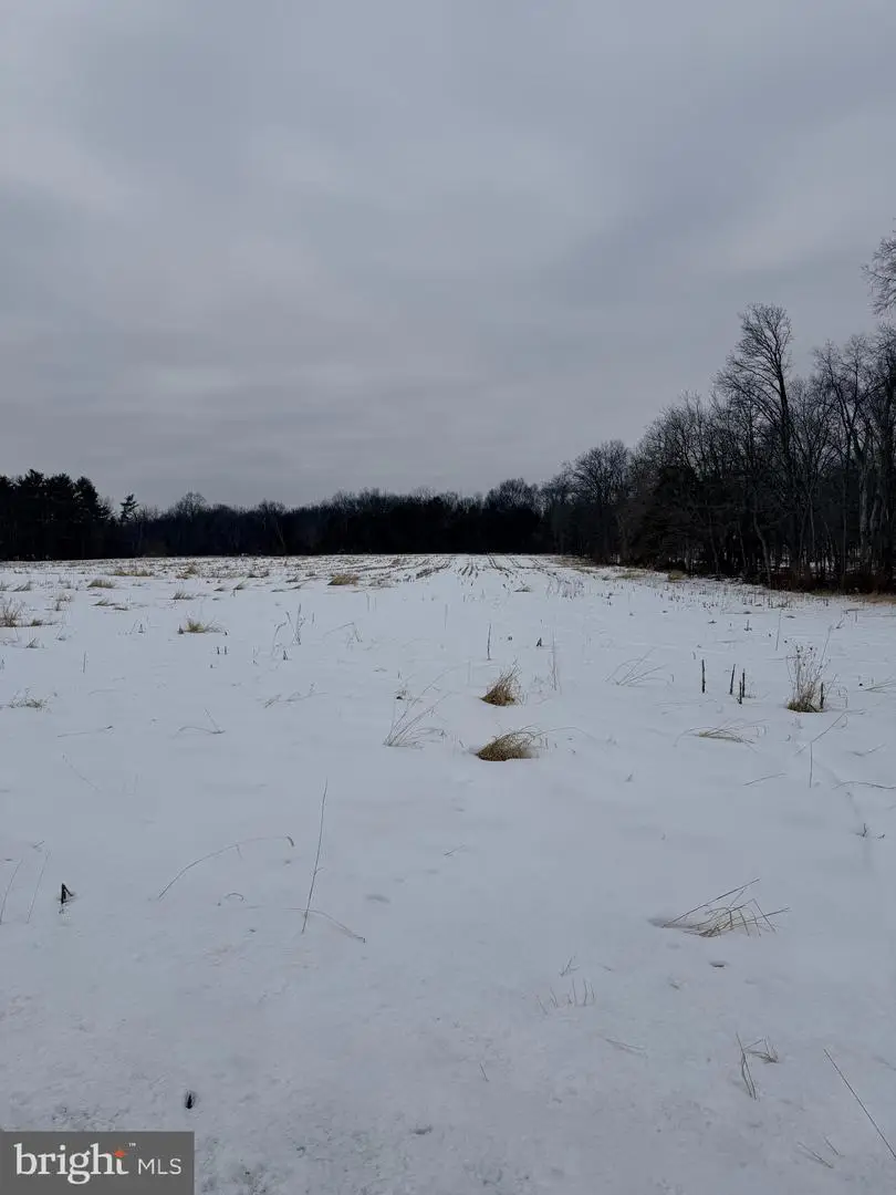 Lot 02 Fagleysville Rd, Perkiomenville, PA 18074 - #1