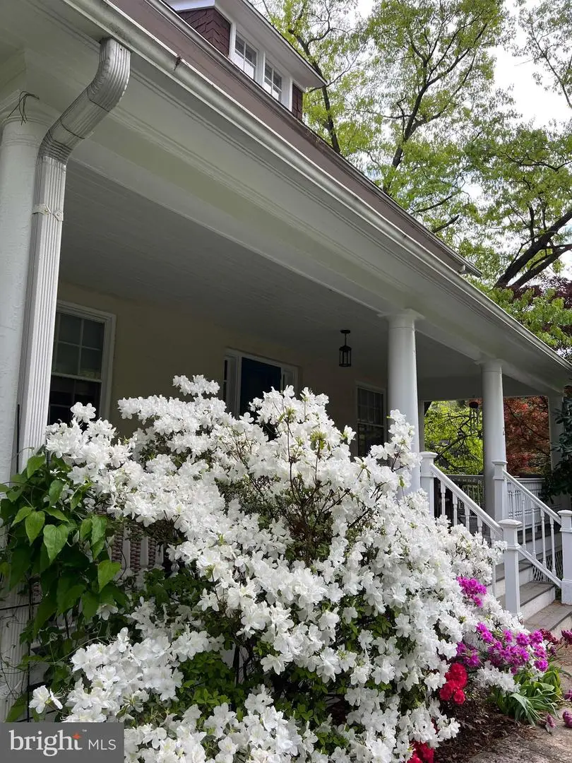 2 Chestnut Ave, Narberth, PA 19072 - #2