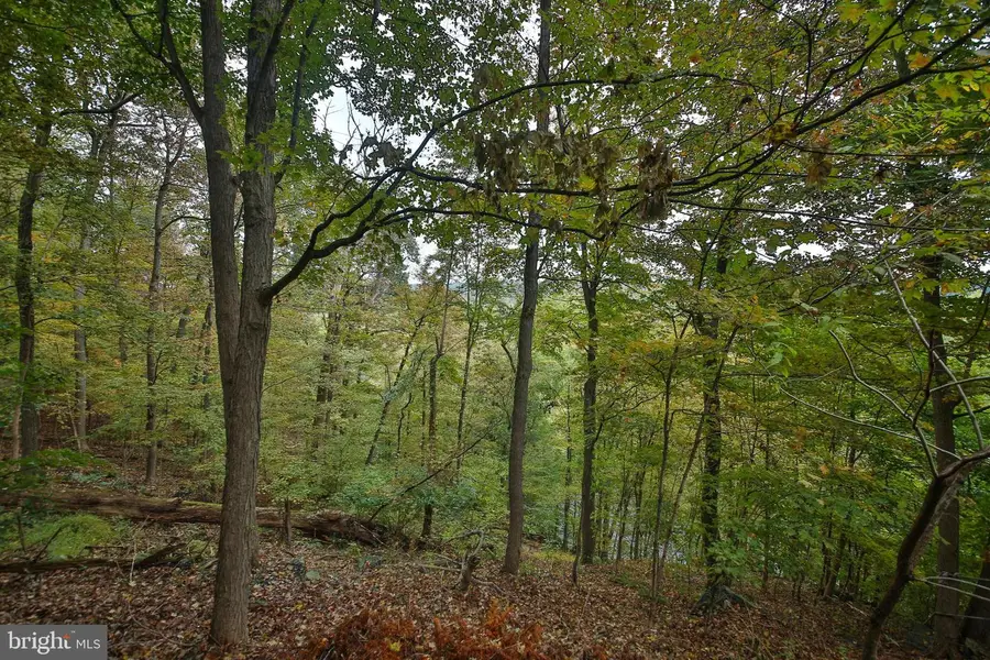 127 Bavington Rd, Perkiomenville, PA 18074 - #3