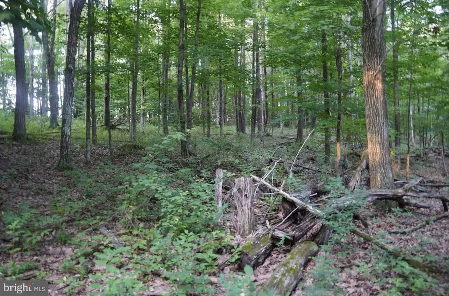 Old Us Highway 322 #lot 3, Milroy, PA 17063 - #3