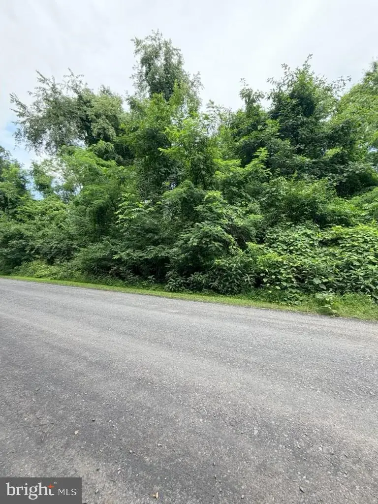 460 Main Line Rd, Lewistown, PA 17044 - #3
