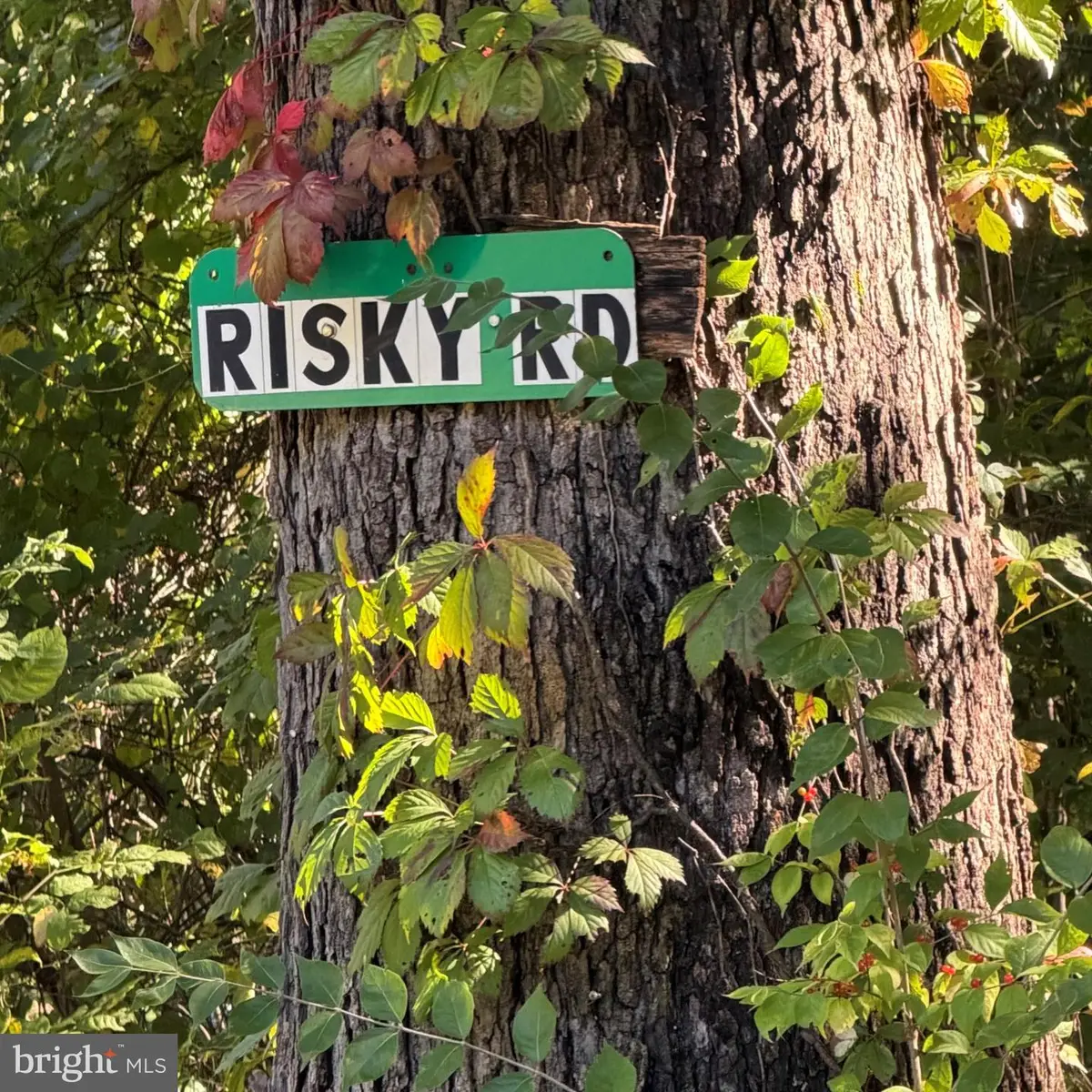 Risky Road, Lot 9, Lewistown, PA 17044 - #1