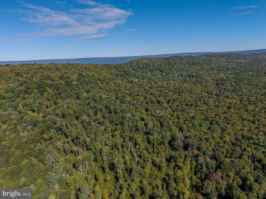 00 Copeland Spring Trl #parcel 3, Allensville, PA 17002 - #2