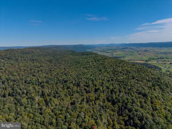 00 Copeland Spring Trl #parcel 4, ALLENSVILLE, PA 17002