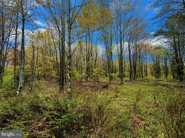 Grandview Road, KANE, PA 16735
