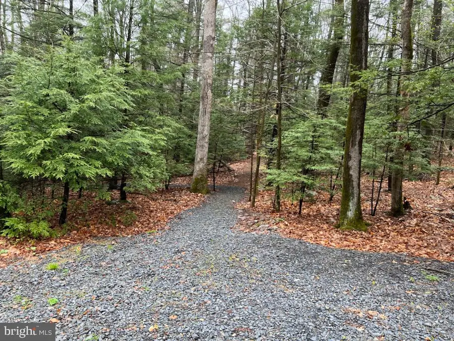 Serfas Drive, Stroudsburg, PA 18360 - Image #2