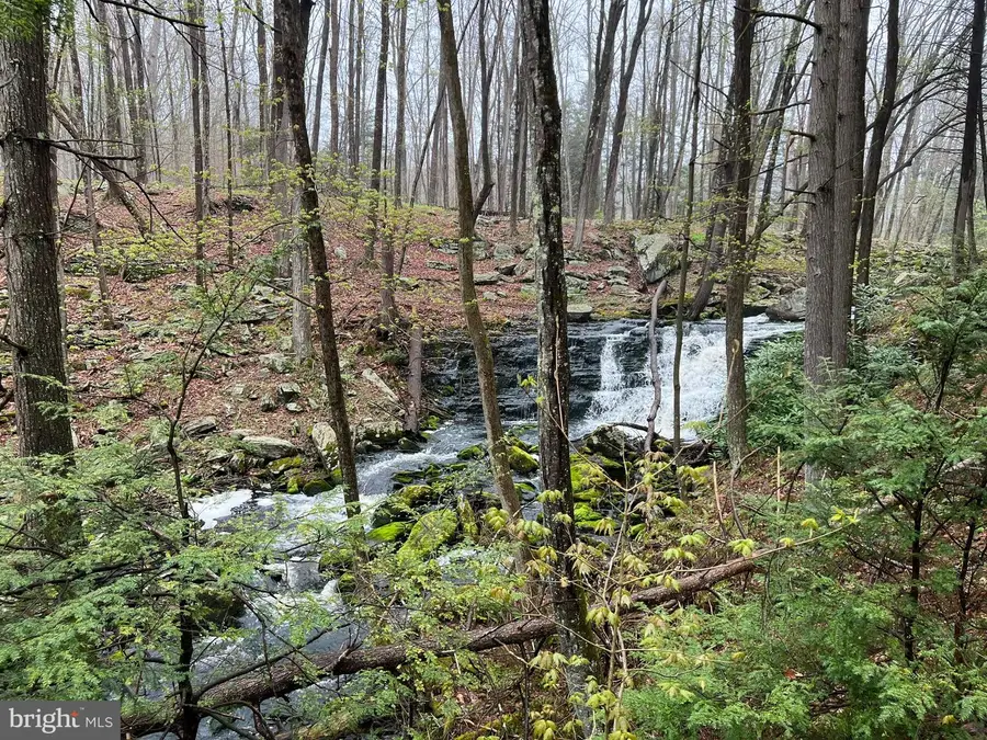 Serfas Drive, Stroudsburg, PA 18360 - Image #3