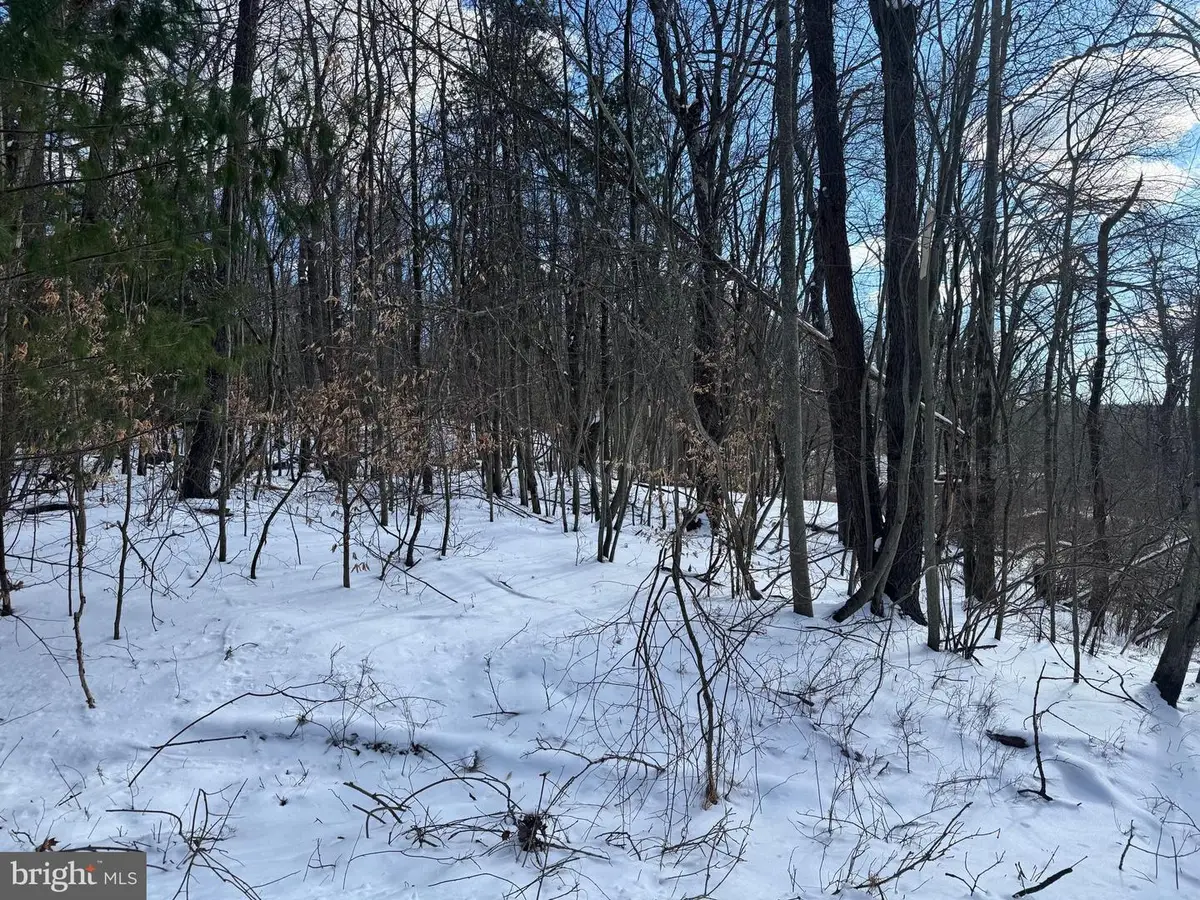 0 River Ct, Pocono Lake, PA 18347 - Image #1