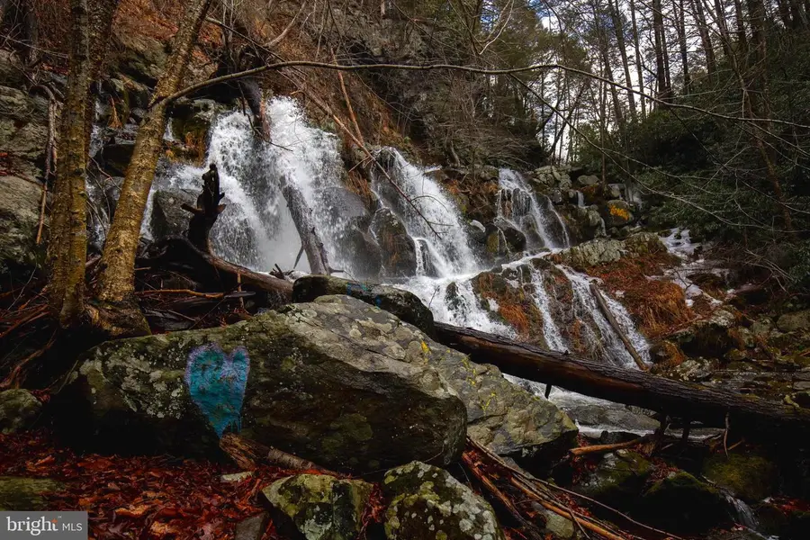 2480 Paradise Trail, East Stroudsburg, PA 18301 - Image #2