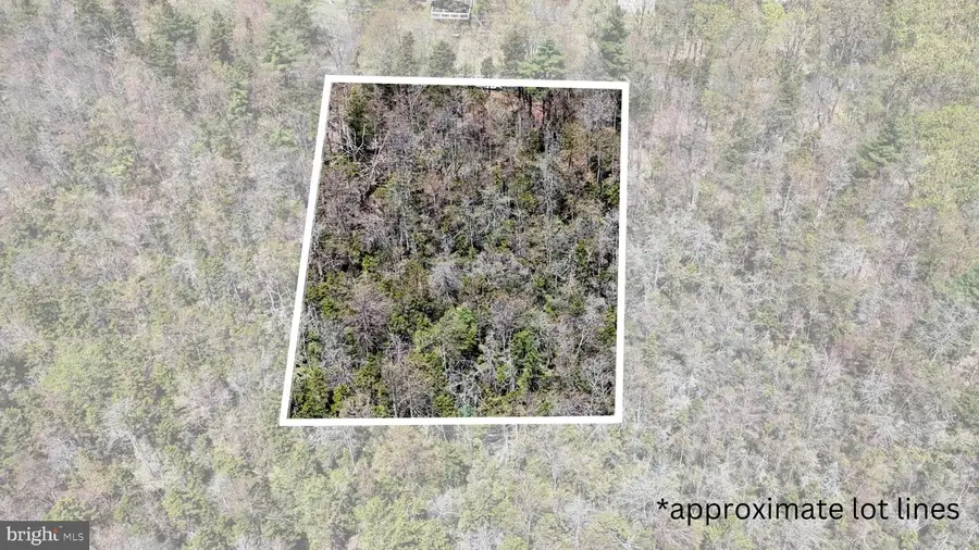 Lot 624 Laurel Rd, Pocono Summit, PA 18346 - Image #2