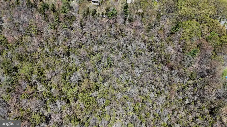 Lot 624 Laurel Rd, Pocono Summit, PA 18346 - Image #3