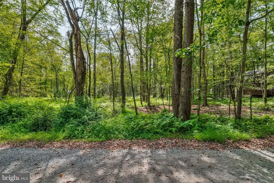 804 Evergreen Dr, Pocono Lake, PA 18347 - Image #3