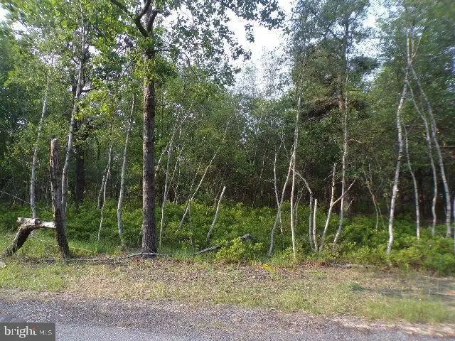 Lot 4403 Claremont Dr, Albrightsville, PA 18210 - #2